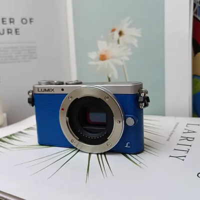 Panasonic GM1 Image