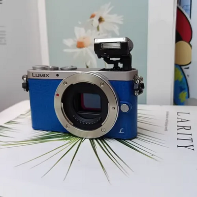 Panasonic GM1 Image