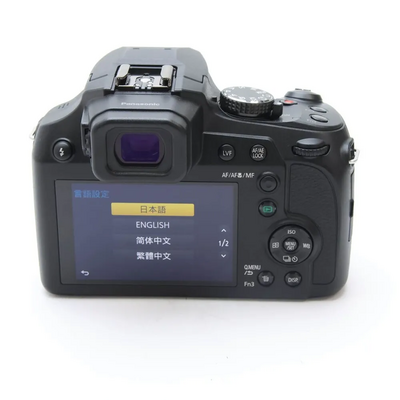 Panasonic DC-FZ85 Image