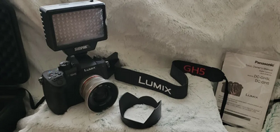 Panasonic Lumix gh5 Image