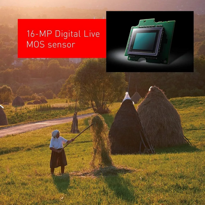 Panasonic G85 Image