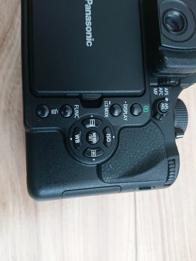 Panasonic Lumix L10 4/3 Image