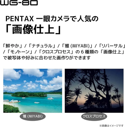Pentax WG-80 Image