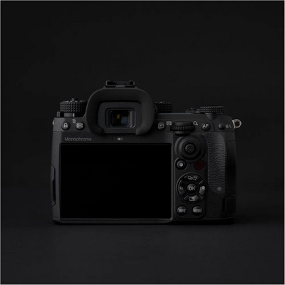 Pentax K-3 Mark III Monochrome Image