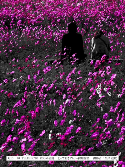 Pentax Q10 Image