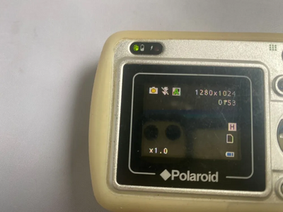Polaroid A310 Image