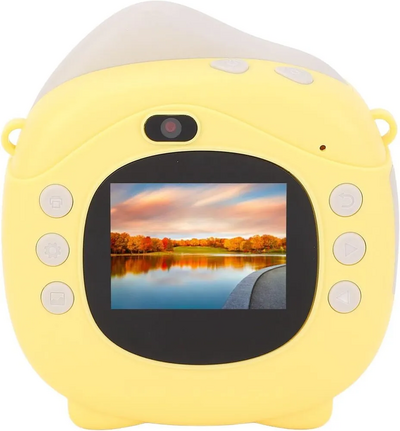 RASTKY Bgqaf3po2u-11 Image