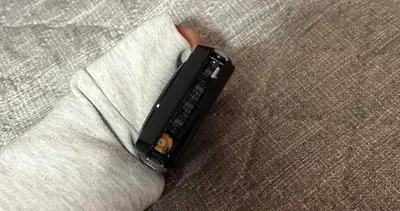 Samsung PL100 Image