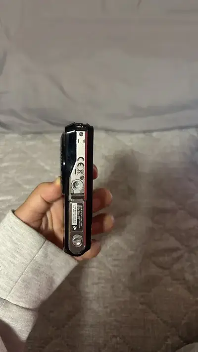 Samsung PL100 Image