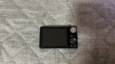 Samsung PL100 Image