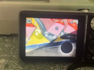 Samsung Pl100 Image