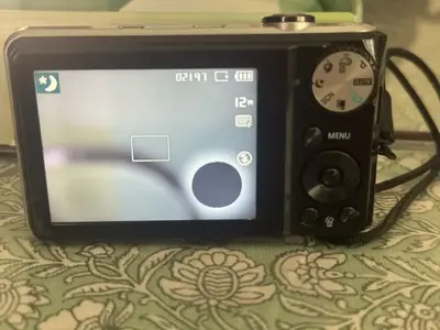 Samsung Pl100 Image