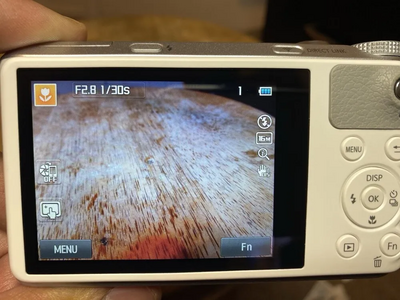 Samsung WB350F Image