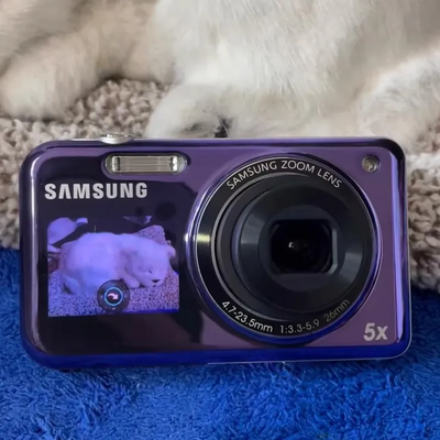 Samsung PL120 Image