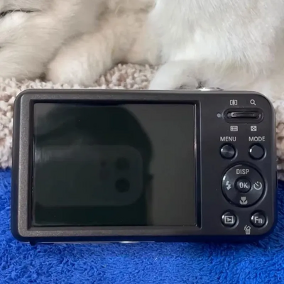 Samsung PL120 Image