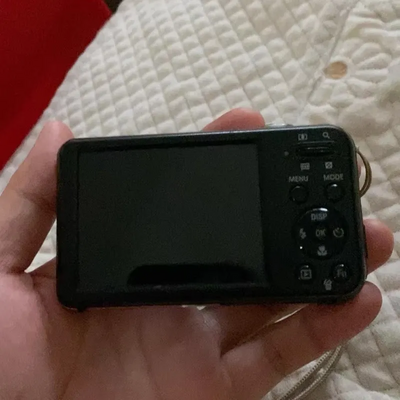 Samsung PL120 Image