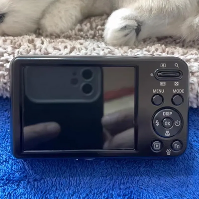 Samsung PL120 Image