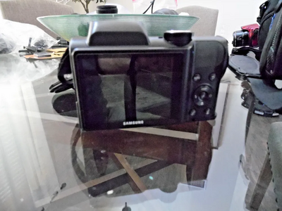 Samsung WB100 Image
