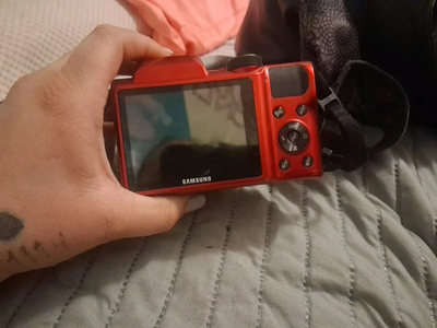 Samsung WB100 Image
