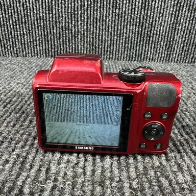 Samsung WB100 Image