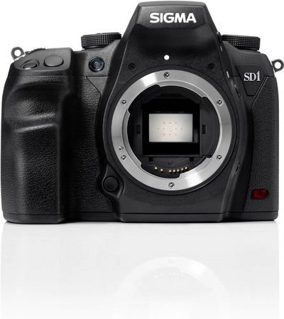 Sigma SD1 MERRILL Image
