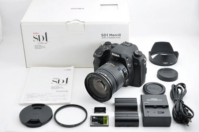 Sigma Sd1 merrill Image