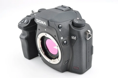 Sigma Sd1 merrill Image