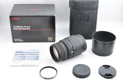 Sigma Sd1 merrill Image
