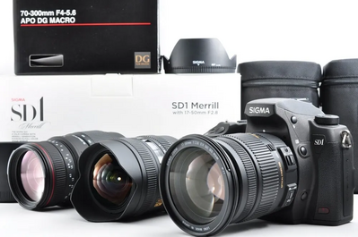 Sigma Sd1 merrill Image