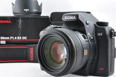 Sigma Sd1 merrill Image