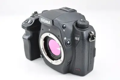 Sigma Sd1 merrill Image