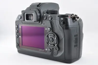 Sigma Sd1 merrill Image