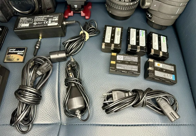Sigma SD1 Image