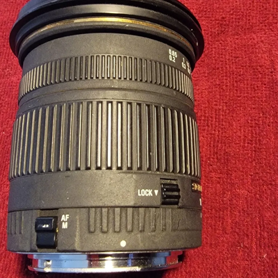 Sigma Canon EOS Rebel T1I Image