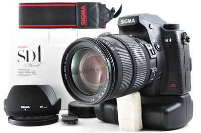 Sigma Sd1 merrill Image