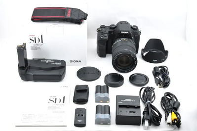 Sigma Sd1 merrill Image
