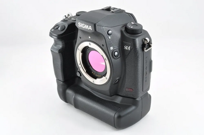 Sigma Sd1 merrill Image