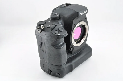 Sigma Sd1 merrill Image