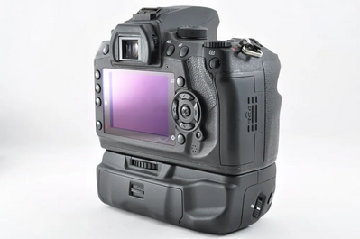 Sigma Sd1 merrill Image