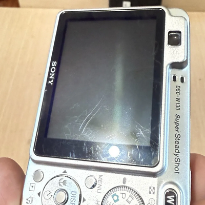 Sony W-130 Image