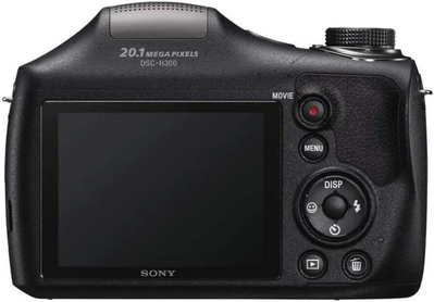 Sony DSC-H300 Image