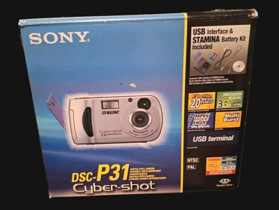 Sony DSC-P31 Image