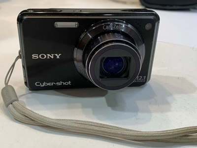 Sony Cyber-shot dsc-w290 Image