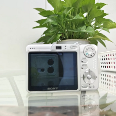 Sony W55 Image