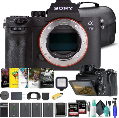 Sony A7 III Image