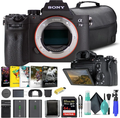 Sony A7 III Image