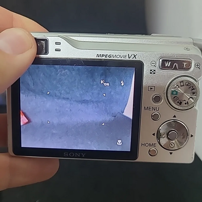 Sony Cyber-shot dsc-w80 Image