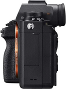 Sony Alpha a9 Image