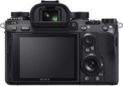 Sony Alpha a9 Image