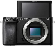 Sony Alpha 6100 X Image